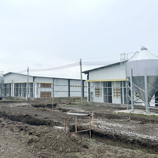 Prefab Poultry House