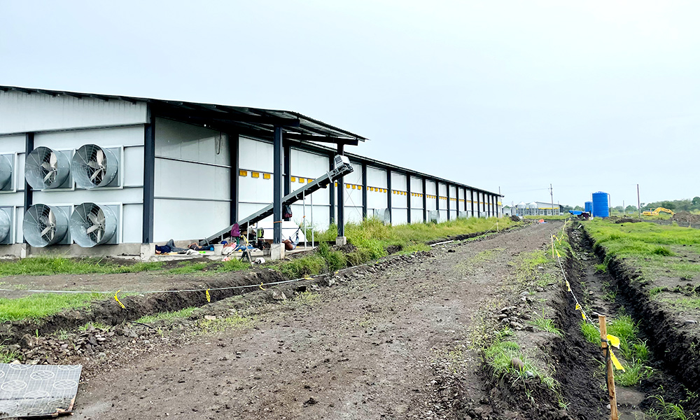 Project Description: Prefab Poultry House For Large-Scale Farming